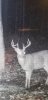 20211208_192843.jpeg