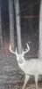 20211208_192900.jpeg