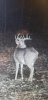 20211208_192834.jpeg