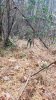 20211211_104203.jpeg