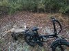 20211211_165254.jpeg