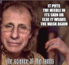 lambs.png