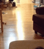 img-8458d3d4.gif