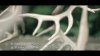 Screen shot 2012-07-27 at 11.57.43 PM.jpg