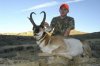 Antelope WY.jpg