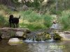 7-27-12 BB Creekbottom.jpg