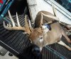 cliffsbuck09.jpg