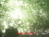 MDGC0009.jpg