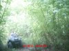 MDGC0008.jpg