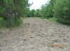 DSCN0137.jpg
