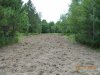 DSCN0140.jpg