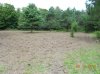 DSCN0142.jpg