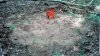2012-08-17_11-30-11_446.jpg