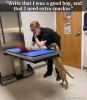 vet visit.png