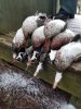 20220121_112224.jpeg