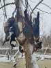 20220122_111725.jpeg