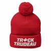 pom-pom-knit-cap-red-front-61fc1f0e563d2.jpeg