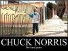 chuck norris.jpg