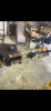 D74D12BC-5AFE-4B7E-B2CB-B4A0D94E5DE3.png