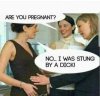 pregnant.jpeg