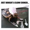 slow cooker.jpg