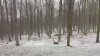 20220410_090550.jpg
