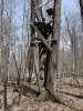 868F2760-9DB7-418A-BBCE-8F10290FEB2C.jpeg
