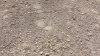 20220425_133011.jpg