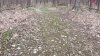 20220425_132909.jpg