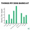 barking.jpg