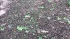 20220517_094712.jpg