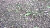 20220517_094514.jpg