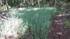 20220517_094003.jpg