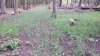 20220517_092358.jpg