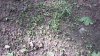 20220517_092251.jpg