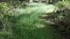 20220517_091925.jpg