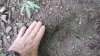 20220517_092219.jpg