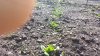20220517_091528.jpg