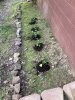 upload_2022-5-29_21-24-53.jpeg
