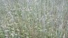 20220606_111348.jpg