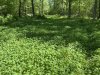 537C161D-47E3-4DD0-9E55-574A9BBB525D.jpeg