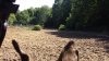 20220621_161540.jpg