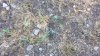 20220707_091306.jpg