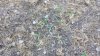 20220707_091219.jpg