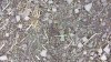 20220707_082215.jpg