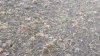 20220707_080113.jpg