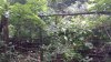 20220714_111000.jpg