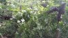 20220714_110932.jpg