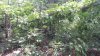 20220714_110813.jpg