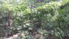 20220714_110809.jpg